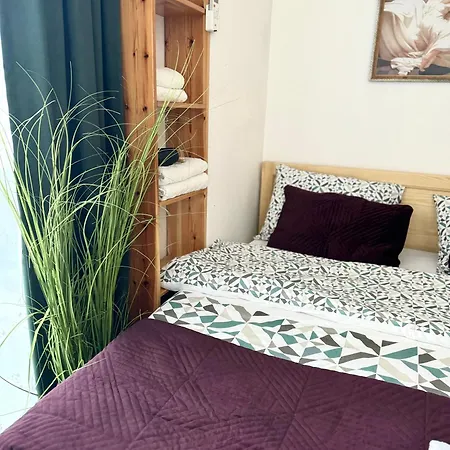 Guest 4u טיראנה